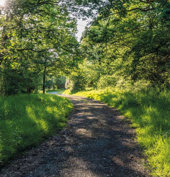 Grass path